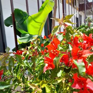 Fotografie z fotogalerie ubytování NTBELL Homestay v destinaci Ninh Hải