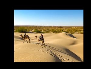 three people are riding on camels in the desert at Sand Routes Resort & Desert Camp in Sām