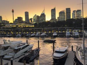 a group of boats docked in a harbor with a city at Harbour View Woolloomooloo in Sydney