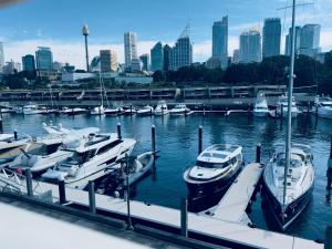 a group of boats docked in a harbor with a city at Harbour View Woolloomooloo in Sydney