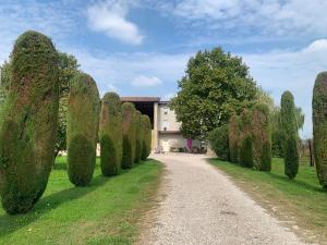 a row of hedges in front of a building at Agriturismo Corte Bonetti - Appartamento Il Platano in Pescantina