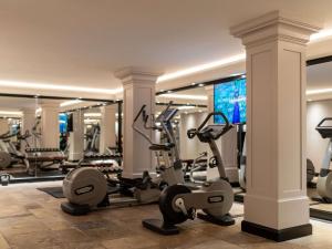 Fitness centrum a/nebo fitness zařízení v ubytování Hotel Rotary Geneva - MGallery
