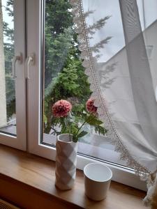 un jarrón con flores sentado en el alféizar de la ventana en Mieszkanie w centrum Gogolina, en Gogolin 9 fotos más