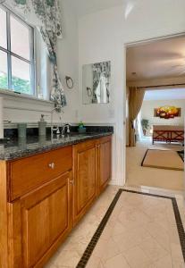 une cuisine avec un évier et un plan de travail dans l'établissement Spacious Guest Suite 5 Minutes to Princeton University with Free Parking, à Princeton