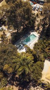 Una vista aérea de una piscina con palmeras. en Nomads Airlie Beach, en Airlie Beach