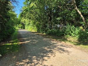 a dirt road with trees on either side at 5 person holiday home in Ansager-By Traum in Ansager