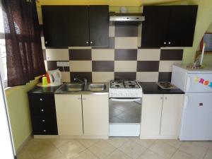 Kuchyň nebo kuchyňský kout v ubytování Apartment Ivica