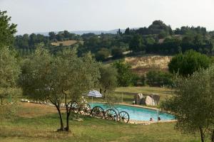 Bazén v ubytování Agriturismo La Grotta Di Montecchino nebo v jeho okolí + 37 fotografií