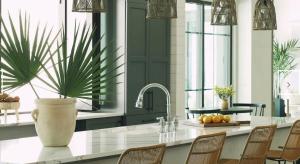 a kitchen with a table with chairs and a plant at Landing Amazing 1BD Clubhouse Pool in Oxford +17 photos