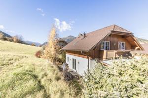 a house on a hill next to a field at Chalet Aineck Snowwhite in Sankt Margarethen im Lungau