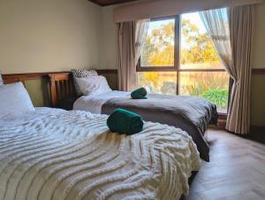 deux lits dans une chambre avec une grande fenêtre dans l'établissement Lakeside haven cottage - Macedon ranges, à Riddell