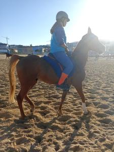 a woman riding a horse on the beach at apartamento céntrico zona Marques de comillas 8 in Laredo +74 photos
