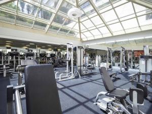 a gym with a lot of cardio equipment in it at Pullman Sao Paulo Ibirapuera in Sao Paulo