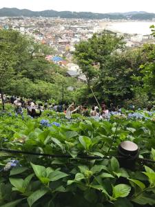 Gallery image of Kamakura Guest House 3 Bedrooms, Sleeps 10 in Kamakura +16 photos