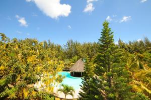 a resort with a pool in the middle of a forest at Kenville in Pereybere