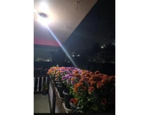 a row of flowers in pots on a fence at night at Ngima woizer Homestay,Tawang in Tawang