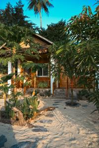 a house on the beach with trees in front of it at Seaside Beach Hostel in San Vicente