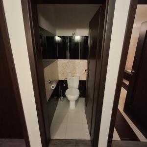 une salle de bain avec toilettes et lavabo dans l'établissement Unicorn #13, à Dolní Lánov