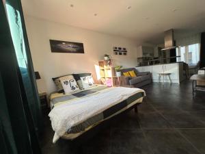 een slaapkamer met een bed en een woonkamer bij Colmar joli petit appartement in Colmar