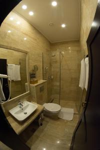 a bathroom with a sink and a toilet and a shower at Casa Branga in Deva