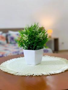 eine Topfpflanze auf einem Tisch in der Unterkunft Il Fico d'India - Home Salento com in Ugento