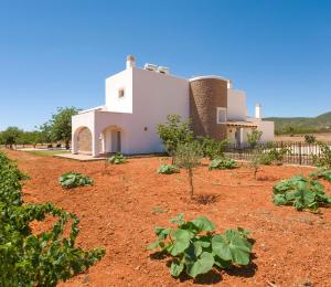 a house in the middle of a dirt yard with plants at Es Casals Nou in Santa Gertrudis de Fruitera
