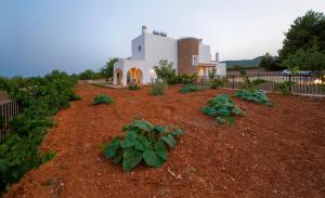 Afbeelding uit fotogalerij van Es Casals Nou in Santa Gertrudis de Fruitera