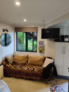 a couch in a living room with a window at Natures Hideout Private home Luxury in Mourea
