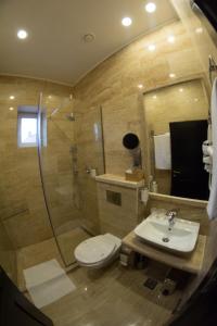 a bathroom with a shower and a toilet and a sink at Casa Branga in Deva