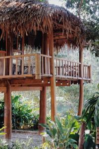 Taman di luar Pù Luông Ecolodge