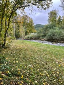 un campo de hierba junto a un río con árboles en Apartment 1 LetzCamp Mullerthal 4 Pers, en Beaufort