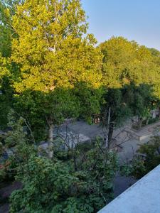 an overhead view of a park with trees with yellow leaves at Cathedral park studio in Chişinău