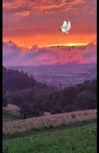 a white bird flying over a field at sunset at Ferienwohnung Hohenstaufen in Göppingen