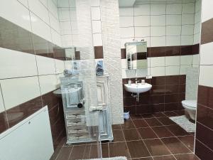 a bathroom with a sink and a toilet at Kunst Apartment im Schwalbenhaus in Spitz