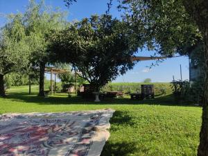 une couverture posée sur l'herbe dans un parc dans l'établissement Villa Serena, secret garden - 7 min Noventa Outlet, à Santa Maria di Campagna