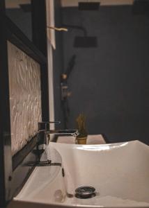 a bathroom with a white sink and a mirror at Riverview Bentota in Bentota