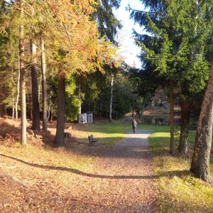 Paesaggio naturale nelle vicinanze del lodge