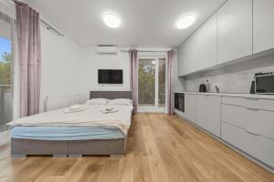 Kuchyň nebo kuchyňský kout v ubytování Air conditioned 1 room Apartment, with garden, new building