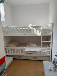 Gallery image of Bellavista I in Punta Grossa +2 photos