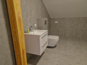 Un baño con un lavabo blanco y un inodoro. en Apartament Nadwarciański, en Śrem