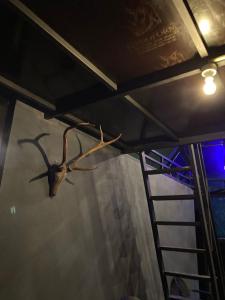 Fotografie z fotogalerie ubytování The black hut villa v destinaci Akuressa