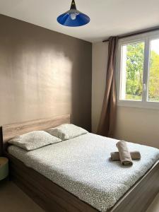 a bedroom with a bed with a window and a blue light at Logement proche du Puy de Dôme avec parking privé in Clermont-Ferrand