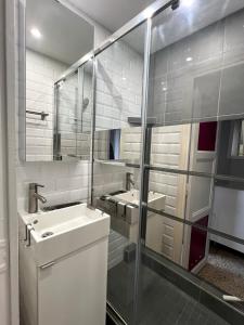 a bathroom with a sink and a mirror at Logement proche du Puy de Dôme avec parking privé in Clermont-Ferrand