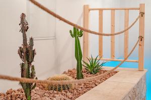 a group of cacti in a room with a crib at Le gîte de la Bonne Amie in Coubon +22 photos