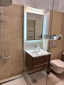 克卢日-纳波卡Sunflower Luxury Haven by Iulius Mall and FSEGA的浴室配有洗手池和淋浴 更多16张照片