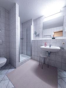 a bathroom with a sink and a shower and a toilet at FEWO Geierhos in Steibis +6 photos