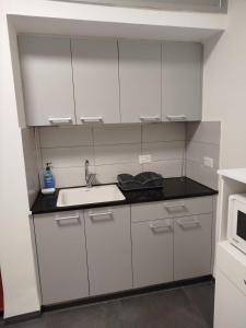 a kitchen with white cabinets and a sink and a microwave at Falkor's Nest in Atlit