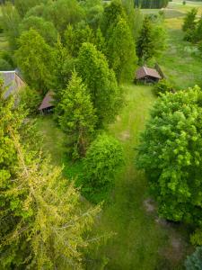 an overhead view of a yard with houses and trees at Siedlisko Urszulanka Domek in Policzna
