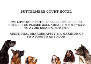 a group of dogs sitting in a row at Buttermere Court Hotel in Buttermere