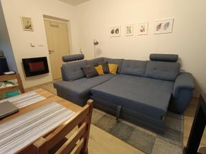 リポヴァー・ラーズニェにあるApartmán Horní Lipová č. 3の青いソファとテーブルのあるリビングルーム